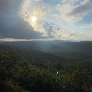 Meet your Posher, Logan